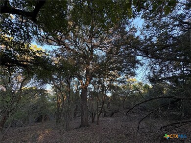 0 County Road 2773, Lometa, TX 76853 - photo 7