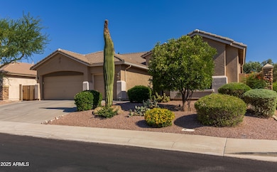 4241 E Andre Ave-3
