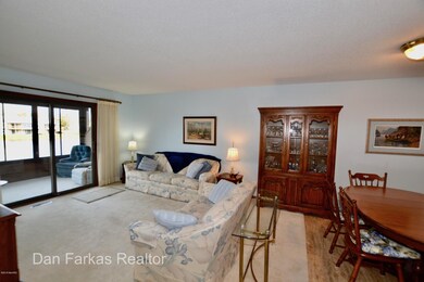 Springtree Condo 0019