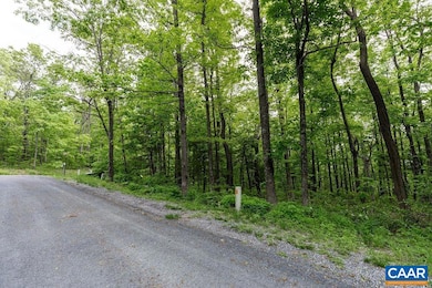 7 & 23 Wolftrap Ln, Wintergreen Resort, VA 22967 - photo 3