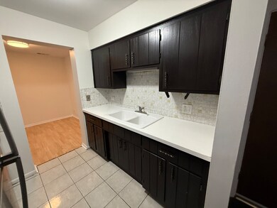 2300 N Harlem Ave unit 205, Elmwood Park, IL 60707 - photo 7