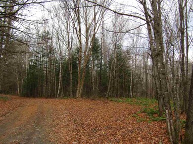 31-1 Moose Trail, Clarksville, NH 03592 - photo 4