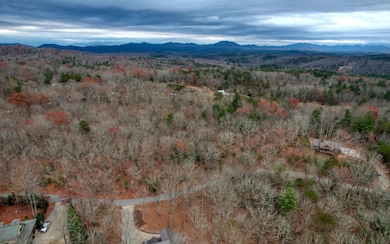 Lt 40 Lt 40 Harbin Woods, Morganton, GA 30560 - photo 3