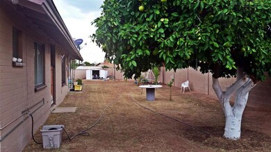 629 E Franklin Ave, Mesa, AZ 85204 - photo 5