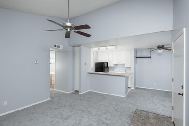 JR_0493_web