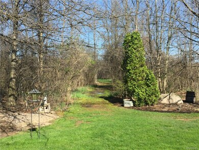 Path leads to back of lot.