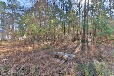 4231 Roscoe Rd, Myrtle Beach, SC 29588 - photo 4