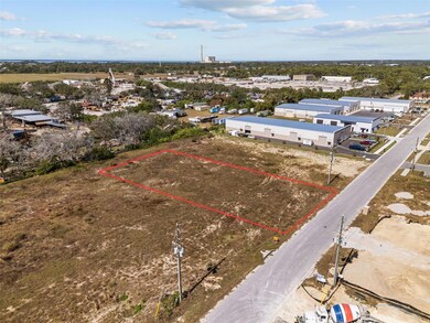 1512 N Bend Dr, Tarpon Springs, FL 34689 - photo 5