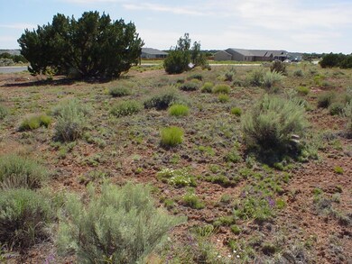 .51 of an acre lot
