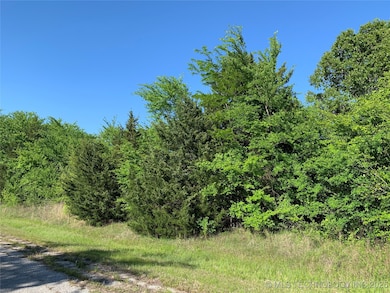 1896 River Oak, Kingston, OK 73439 - photo 3