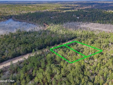 0000 Alene Dr, Alford, FL 32420 - photo 5