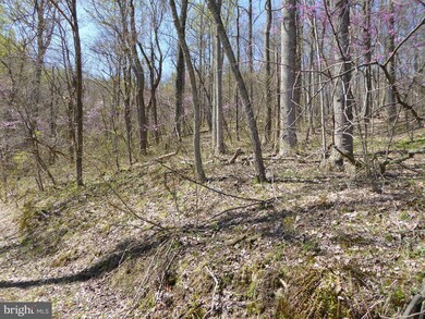 0 Little Long Rd unit 1000406659, Bentonville, VA 22610 - photo 7