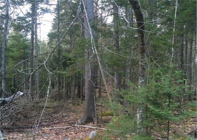 0 Southern Bay Bridges Point Rd unit 1265434, Penobscot, ME 04476 - photo 6