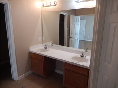 Primary bath vanity