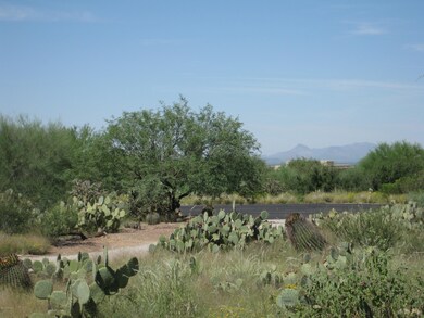 View From Front Door