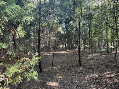 0 Shaw Rd, Woodruff, SC 29388 - photo 7