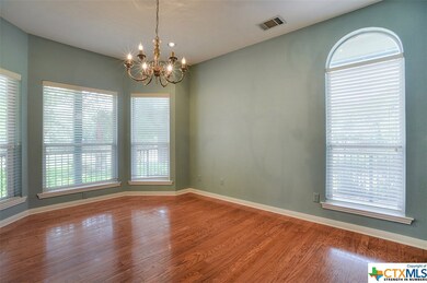 701 Blanco River Ranch Rd, San Marcos, TX 78666 - photo 4