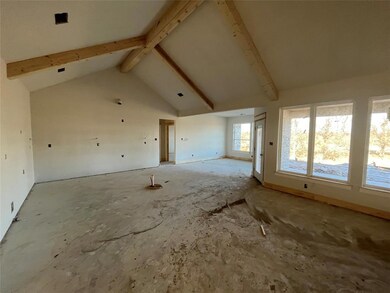 106 Tobiano Trace, Brock, TX 76087 - photo 5