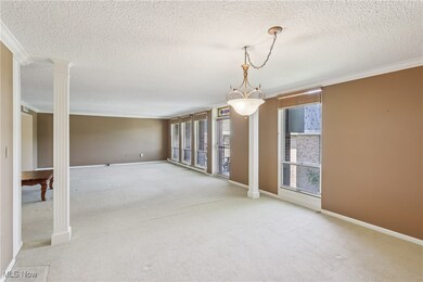 Expansive living room.