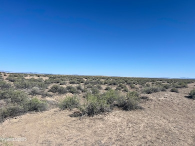 160 Acres Off of McGregor, Fallon, NV 89406 - photo 3