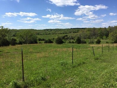 IMG_0601.JPG