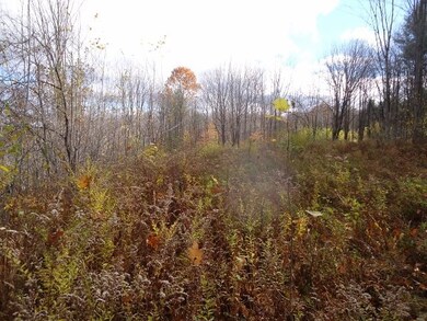 00 Raccoon Hill Rd, Salisbury, NH 03268 - photo 3