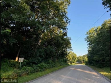 Three Village lots o Fifth & Elm Street St, Pepin, WI 54759 - photo 3