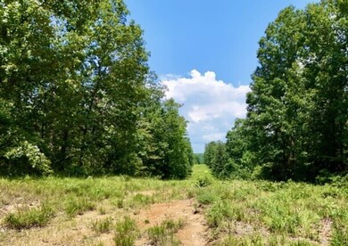 0 Bear Creek Rd unit 24203453, Waverly, TN 37185 - photo 7