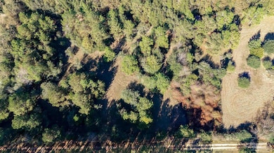 1756 Jacks Branch Rd, Cantonment, FL 32533 - photo 3