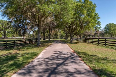 12275 W Highway 318, Reddick, FL 32686 - photo 4