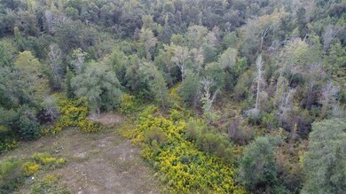 693 County Road 233, Tyler, TX 75705 - photo 6