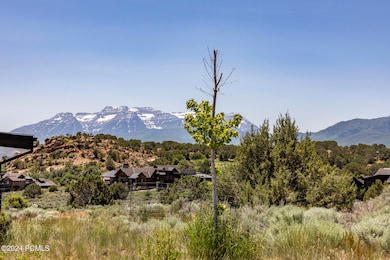 002_2884_e_brown_duck_mountain_cir001_42
