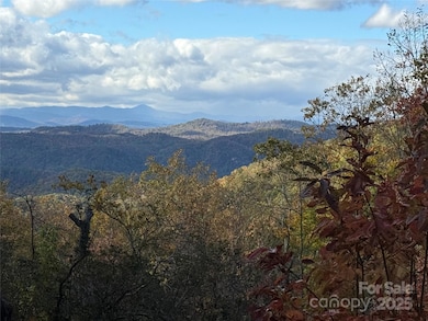 Lot 6 Miller Mountain Rd unit 6, Saluda, NC 28773 - photo 2