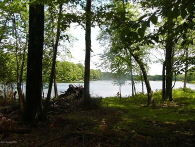 165 Mockingbird Ct, Bushkill, PA 18324 - photo 7