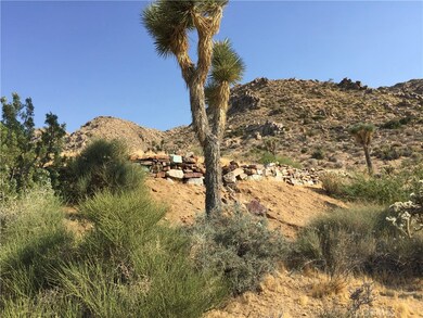 7878 Rockwood Rd, Joshua Tree, CA 92252 - photo 5