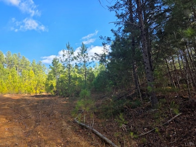 0 Norwood Rd unit 363393, Gladstone, VA 24553 - photo 2