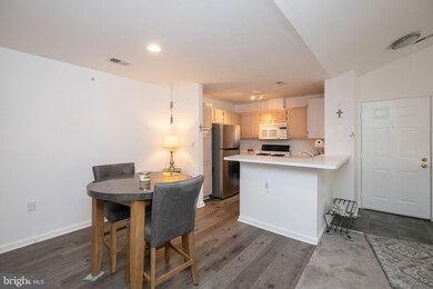 5037 Triplett Rd, Owings Mills, MD 21117 - photo 4