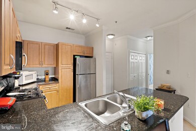 12900 Centre Park Cir unit 101, Herndon, VA 20171 - photo 7