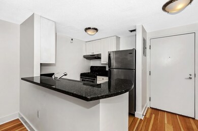 Parris Landing unit 5511, Charlestown, MA 02129 - photo 5