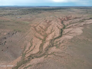 Photo_6553603_DJI_3_jpg_6631613_0_202271