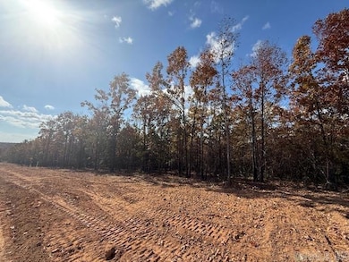 16 Summer Tyme Dr, Greenbrier, AR 72058 - photo 3