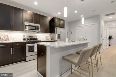 1700 Euclid St NW unit A-1, Washington, DC 20009 - photo 6