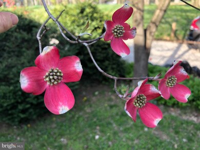 7225 Lanark Rd, Baltimore, MD 21212 - photo 5