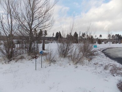 1866 simpsom well &kodiac cr 001