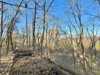 2170 Harris Rd, Lewisburg, TN 37091 - photo 6