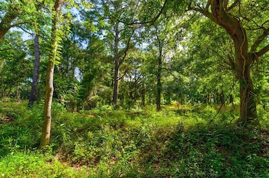 0000 Arsburn Rd, James Island, SC 29412 - photo 4