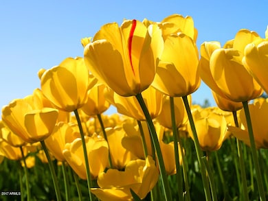 9099 E !Dnp! Calle Port E unit 32, Yuma Prooving Guard, AZ 85365 - photo 2