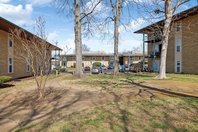 Carousel Image