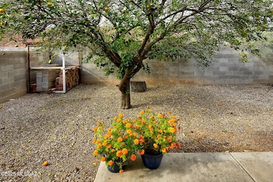 1661&1663 N Catalina Ave, Tucson, AZ 85712 - photo 4