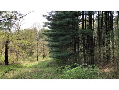 56 E Mud Pike Rd, Osgood, IN 47037 - photo 3